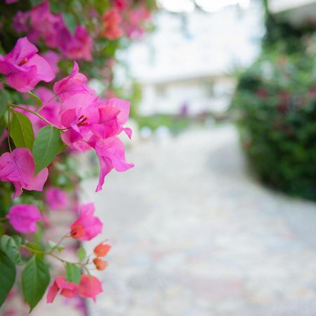 Bougainville Bay Apartments Sarandë Exteriér fotografie