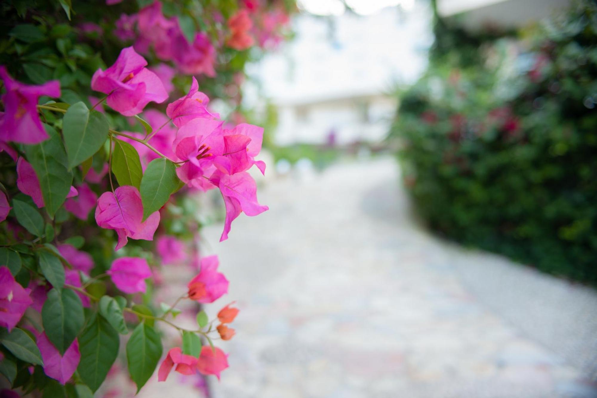 Bougainville Bay Apartments Sarandë Exteriér fotografie